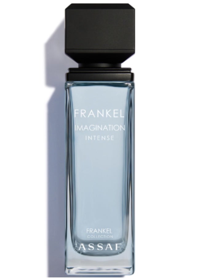 ASSAF Frankel Imagination EDP 100ml 