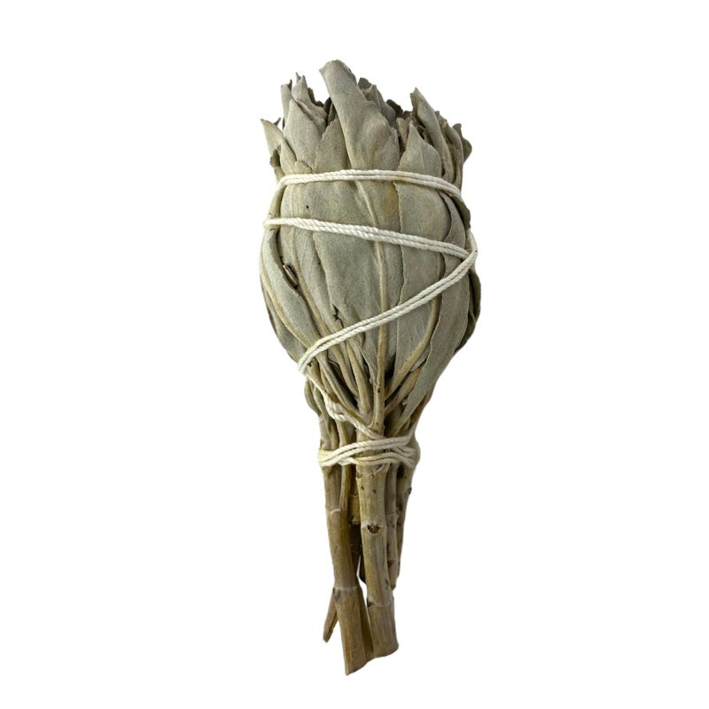 Nessastores 12 California White Sage Smudge Sticks من 3 إلى 4 بوصات مرتبطة باليد كلها طبيعية لتخفيف إجهاد التنظيف في المنزل وتطهير الطاقة السلبية JC-005 - Image 3