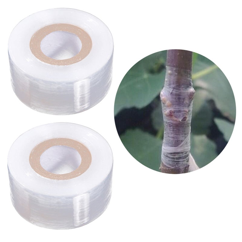 2pcs PE Grafting Tape Stretchable Self-adhesive Clear Floristry Film for Pecans Walnuts Citrus Avocado Fruits Tree - Image 3