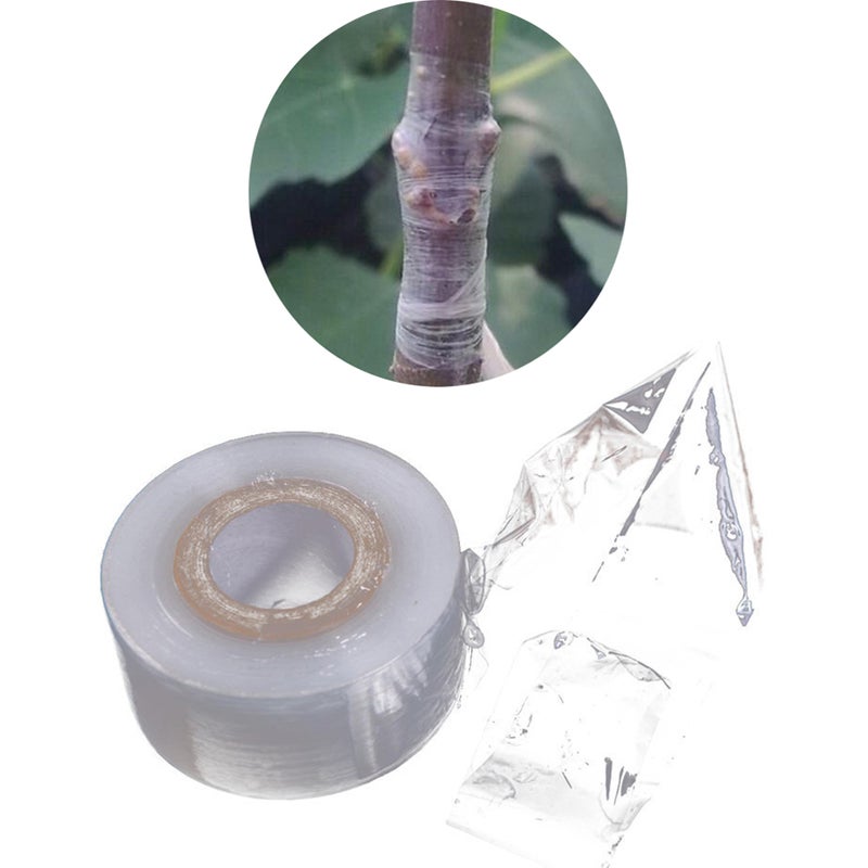 2pcs PE Grafting Tape Stretchable Self-adhesive Clear Floristry Film for Pecans Walnuts Citrus Avocado Fruits Tree - Image 1