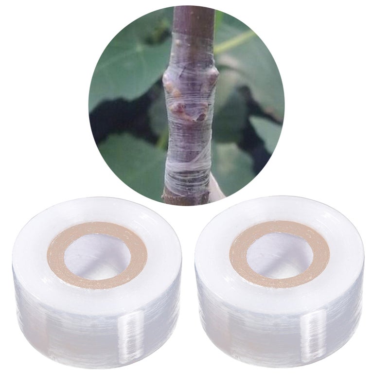 2pcs PE Grafting Tape Stretchable Self-adhesive Clear Floristry Film for Pecans Walnuts Citrus Avocado Fruits Tree - Image 5
