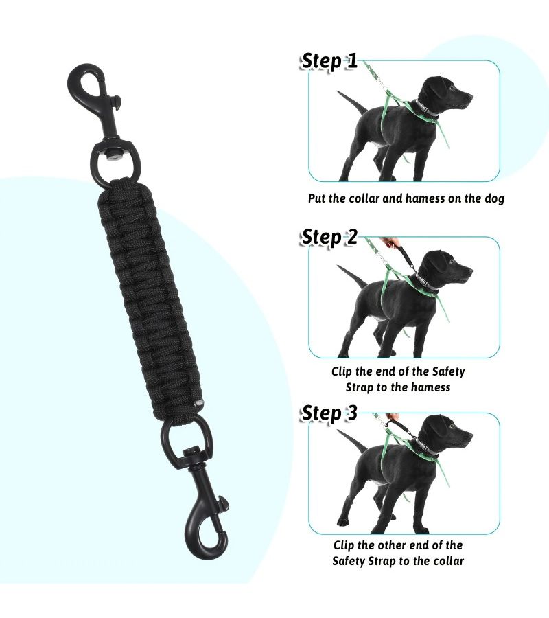 Durable Dog Claw Safety Clip Double Ended Backup Collar Handmade Seat Belt For Harness Vest With Double Buckle Connector Training Suitable For Walking Running And Hiking Blue XS - Image 3