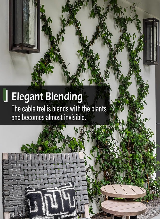 Acemaker Wire Trellis for Climbing Plants Outdoor, 20 Sets Wall Wire Trellis Kit with 5/64" x 98ft Wire Ropes, T316 Stainless Steel Wall Trellis Kit Espalier Cable Trellis System - Image 3