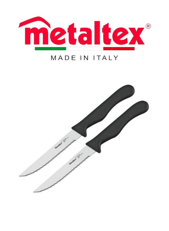 Metaltex Metaltex Basic Set of 2 Steak Knives – 21cm  - Image 2