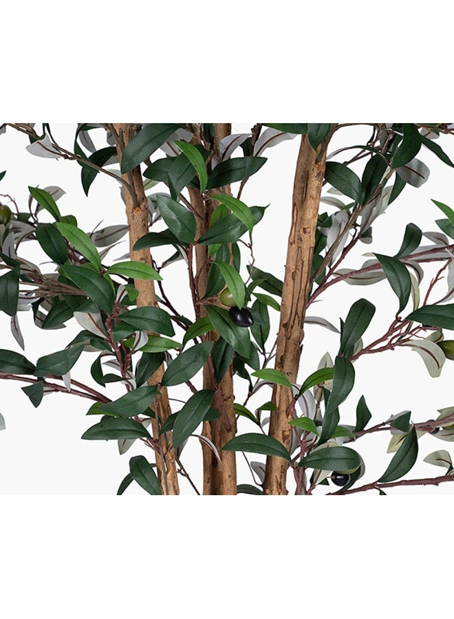 2XL Home Olive Tree  - Image 3