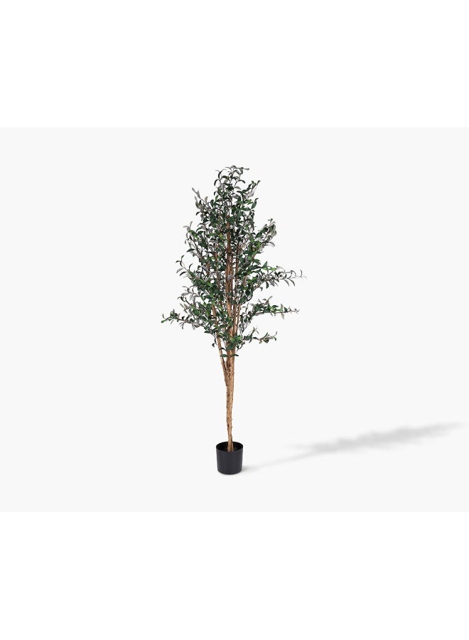 2XL Home Olive Tree  - Image 1