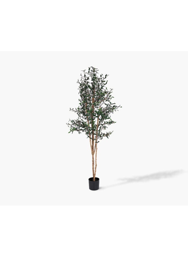 2XL Home Olive Tree  - Image 2