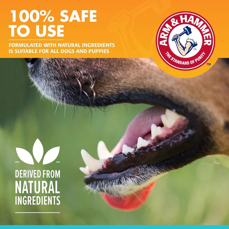 أسنان كلب Arm & Hammer Fresh Breath Enzymatic، نكهة الدجاج، 2.5 أونصة | صيغة تحتوي على بيكنج صودا وإنزيمات، نكهة الدجاج، مناسبة للاستخدام اليومي للكلاب الصغيرة والكبار - Image 3