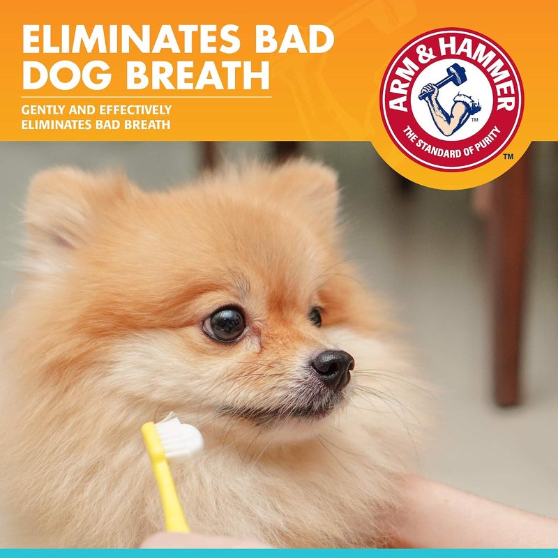أسنان كلب Arm & Hammer Fresh Breath Enzymatic، نكهة الدجاج، 2.5 أونصة | صيغة تحتوي على بيكنج صودا وإنزيمات، نكهة الدجاج، مناسبة للاستخدام اليومي للكلاب الصغيرة والكبار - Image 1