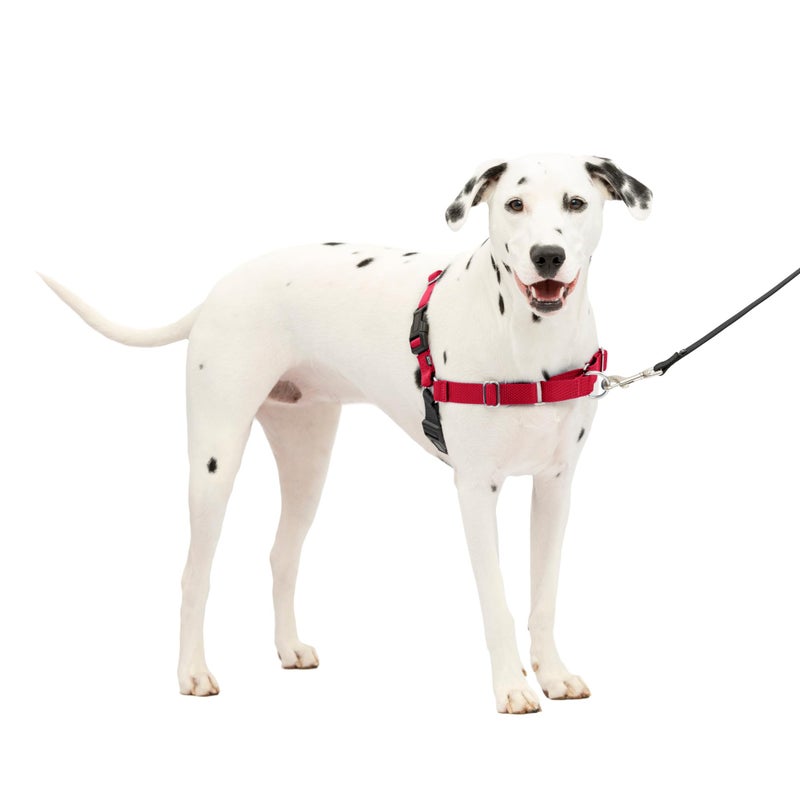 PetSafe Easy Walk Harness for Dogs - Pull-Free Walks - Patented Martingale Loop Design - Front Chest Leash Attachment - Comfort Straps - Breathable Harness Design - Medium/Large, Red/Black - Image 1