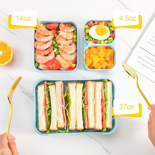 Zeinwap Leak Proof Lunch Box for Adults & Kids-BPA-Free, 3 Compartment Large Volume Bento Box, Microwave & Dishwasher Safe, Food Storage Container for Work, Daycare, School & Travel (Blue) - Image 2