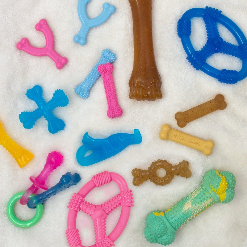 Nylabone Spin Tug & Play Puppy Chew Ring Toy, Toys for Teething Puppies, Peanut Butter Flavor, Pink, Medium - Up to 35 lbs, 1 Count - Image 5