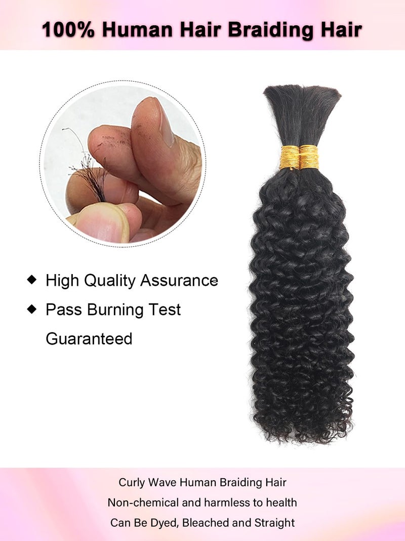 YNiSew 100 Percent Human Braiding Hair For Boho Braids Curly Human Hair Braiding Hair Full Bulk Human Hair For Braiding Wet Wavy 100g 2 Bundles No Weft Micro Braiding Hair Human Hair Extensions YNiSew - Image 2