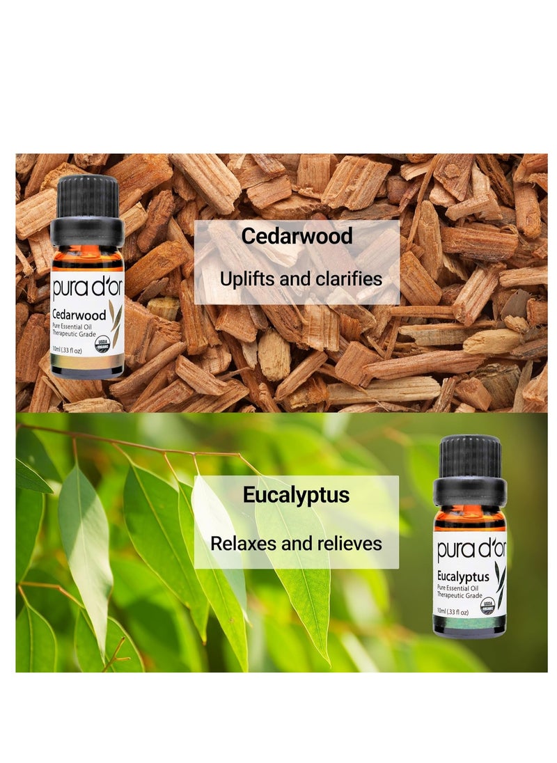Pura d'or - PURA D'OR ORGANIC Perfect10 Essential Oils Set - 10x 10mL Wood Box Aromatherapy Gift Set - 100% Pure Therapeutic Grade For Relaxation and Wellness (Lavender, Peppermint, Eucalyptus, Tea Tree and More) - Image 1