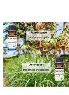 Pura d'or PURA D'OR ORGANIC Perfect10 Essential Oils Set - 10x 10mL Wood Box Aromatherapy Gift Set - 100% Pure Therapeutic Grade For Relaxation and Wellness (Lavender, Peppermint, Eucalyptus, Tea Tree and More)  - Image 3