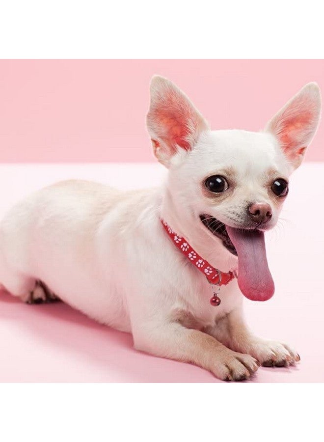 طوق قطط Footprint مع جرس طوق قطط أساسي بإبزيم قابل للتعديل من البوليستر للقطط والكلاب طوق سريع الفك وقابل للتنفس 10 مم (طوق أحمر) - Image 5