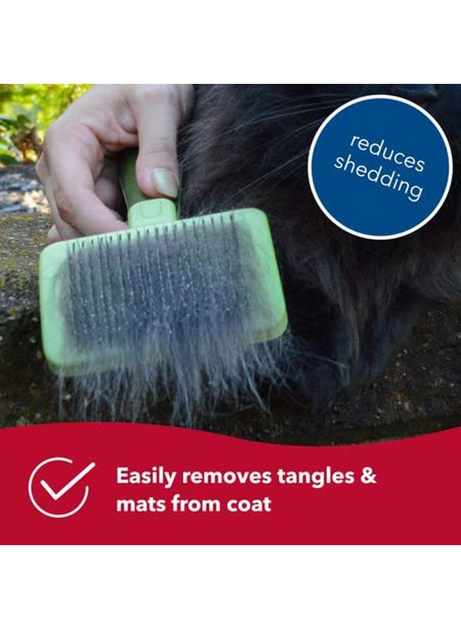 كوستال فرشاة تنظيف القطط ذاتية التنظيف من Pet Safari - مستلزمات العناية بالقطط - Image 3