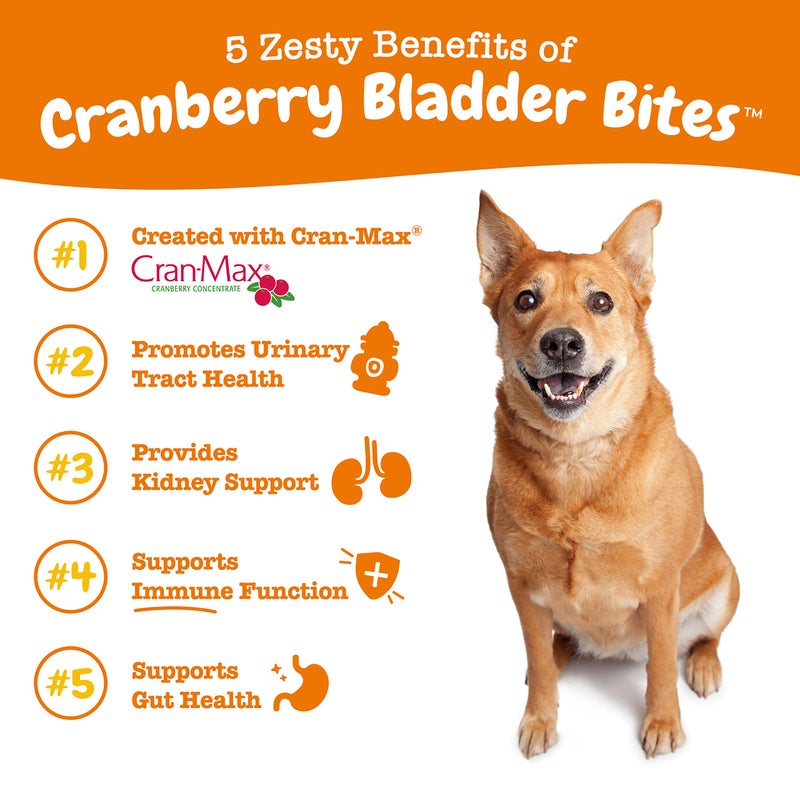 Zesty Paws Cranberry Supplement for Dogs - Bladder Control for Dogs - Urinary Tract Support - Cranberry Chews with D-Mannose, Vitamin B6 & L-Arginine - Immune & Gut Support - Bacon - 90 Count - Image 2