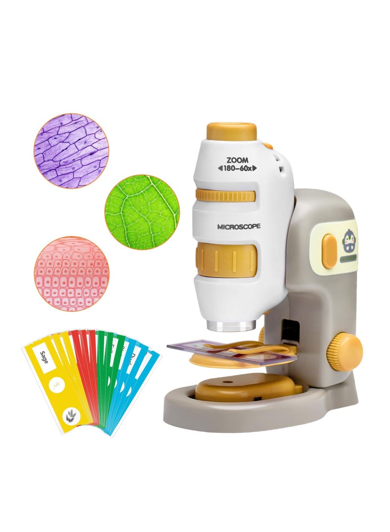 Pocket Microscope, 2 in 1 Detachable Microscope, 60-180x Mini Portable Microscope with 12pcs Specimens, Portable Handheld Microscope, for Students Adults Observation, Lab Study, STEM Educational - Image 1