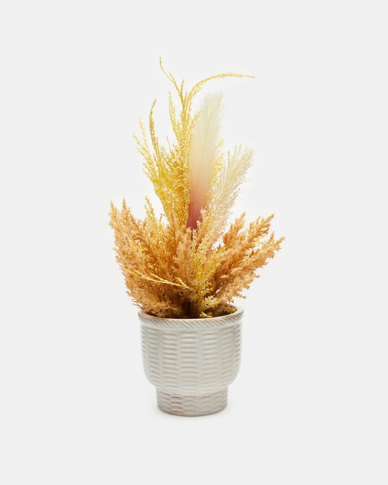 REDTAG Yellow Pampas In Ceramic Vase