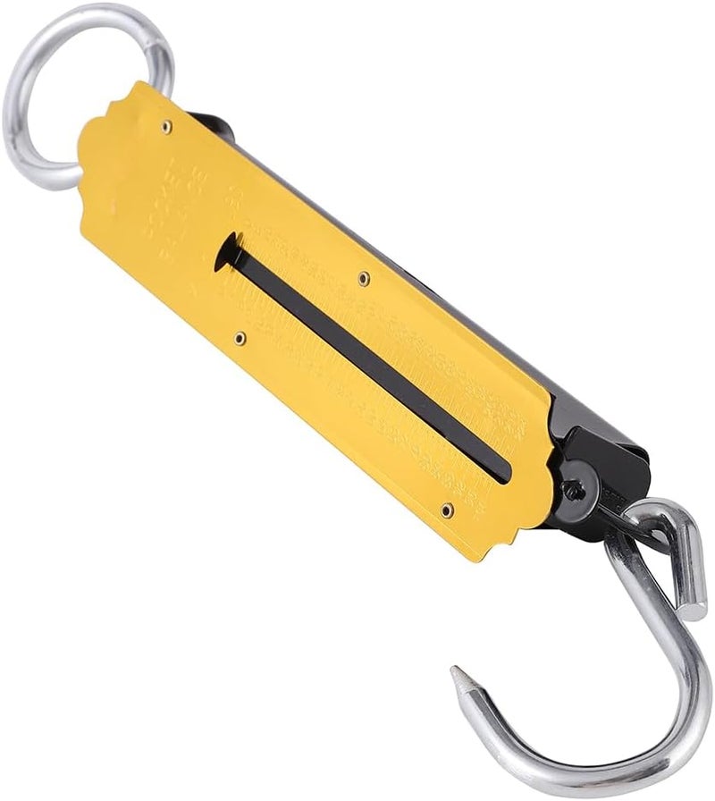 BMB TOOLS Hanging scale - 100kg | High Accuracy Spring Dial Weight Scale for Kitchen Fishing Hunting - Image 1