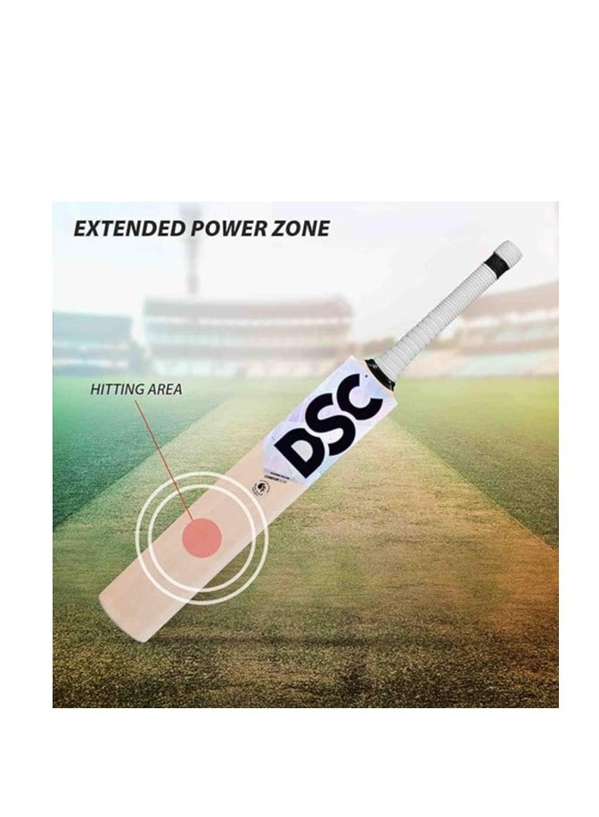 DSC Condor Scud Kashmir Willow Cricket Bat for Leather Ball | Size-5 | Light Weight | Ready to Play| Free Cover - Image 3