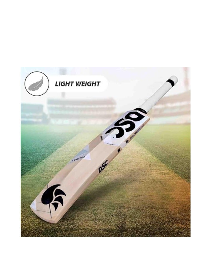 DSC Condor Scud Kashmir Willow Cricket Bat for Leather Ball | Size-5 | Light Weight | Ready to Play| Free Cover - Image 2
