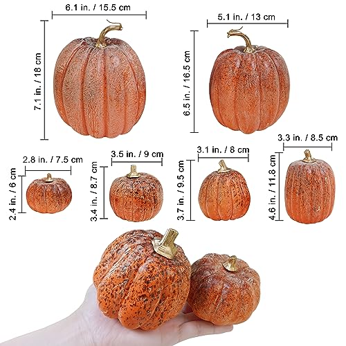 Winlyn 7 Pcs Assorted Orange and Black Artificial Pumpkins Harvest Decorative Pumpkins for Rustic Farmhouse Fall Wedding Thanksgiving Halloween Table Centerpiece Mantel Shelf Seasonal Dcor - Image 3