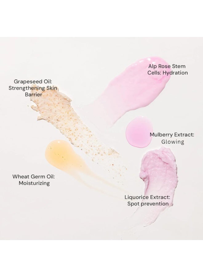 Raaga Professional  Stem Cells facial kit ,Infused with Alp Rose Stem Cells & Mulberry 61g - Image 3