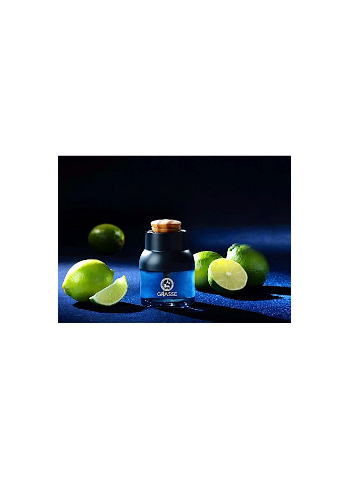 Grasse Diffuser, Natural Car Air Fresheners, Luxury Car Perfume Sicilian Lime100 ml - pzsku/Z0B15627D6371466F820CZ/45/_/1727993587/a6ab84a9-3a13-4e83-9da4-a4af80397c60