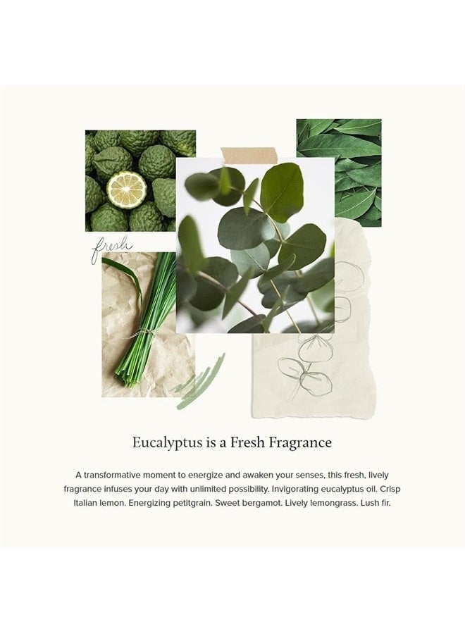 Thymes Fragrance Mist - Scented Room Spray for Home Fragrance - Eucalyptus - 3 oz - Image 2