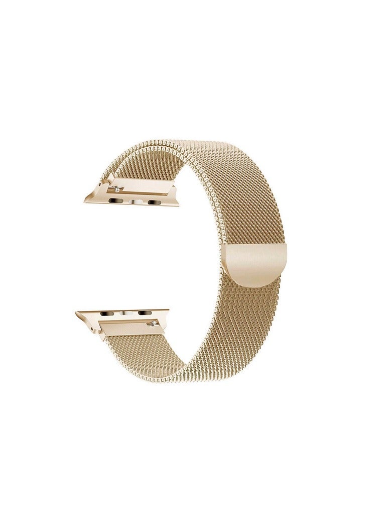 TIGER Stainless Steel Replacement Band for Apple Watch 45mm/44mm/42mm – Metal Strap Compatible with Apple Watch Series 7, 6, 5, 4, 3, 2, SE – Premium Adjustable Bracelet with Secure Clasp - Image 2