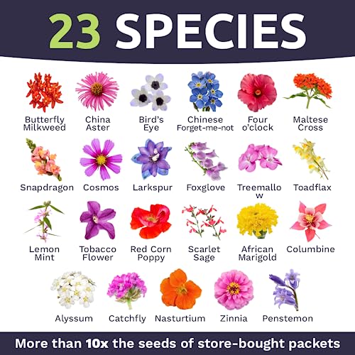 SWEET YARDS Wildflower Seeds Butterfly and Humming Bird Mix - Large 1 Ounce Packet 7,500+ Seeds - 23 Open Pollinated Annual and Perennial Species - Image 4