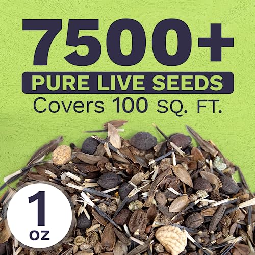 SWEET YARDS Wildflower Seeds Butterfly and Humming Bird Mix - Large 1 Ounce Packet 7,500+ Seeds - 23 Open Pollinated Annual and Perennial Species - Image 3