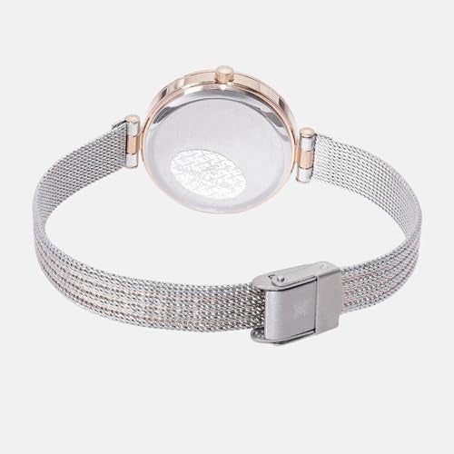 Daniel Klein Analog Grey Round Dial Rose Gold Case Silver Mesh Strap Stone-Studded Water-Resistant Wrist Watch for Women Girls, Ladies DK11904-7 - Image 4