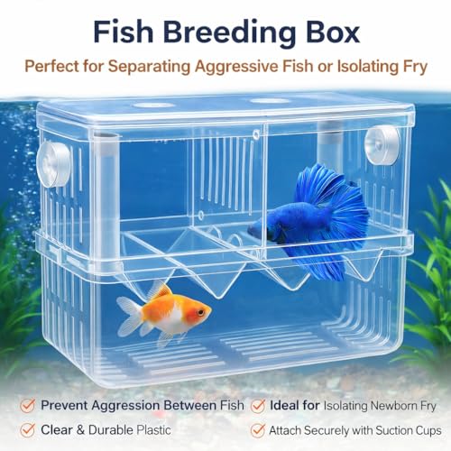 rizopets Aquarium Breeding Box, Double Layer Fish Tank Isolation Box with Divider, Clear Acrylic - Image 3