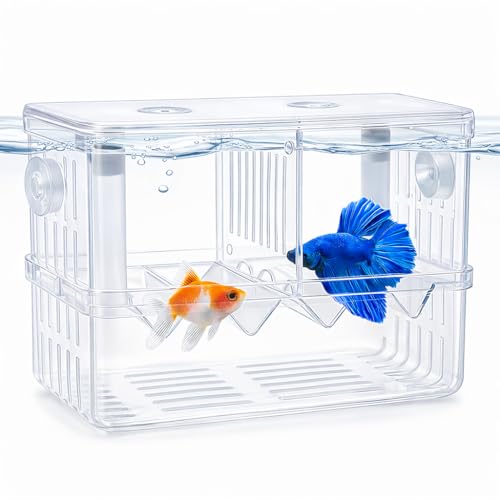 rizopets Aquarium Breeding Box, Double Layer Fish Tank Isolation Box with Divider, Clear Acrylic - Image 1