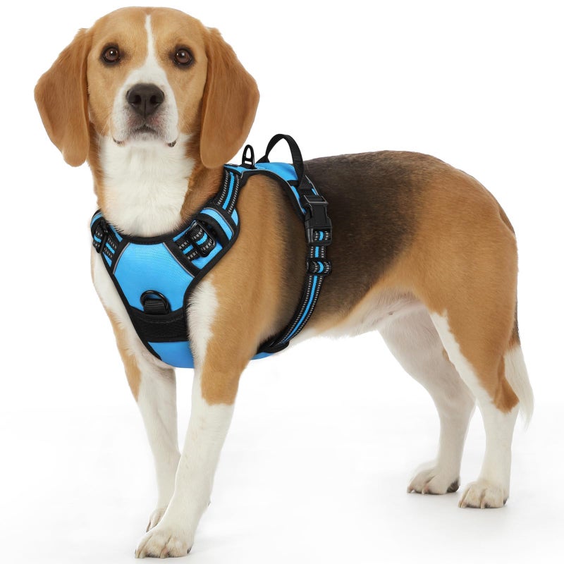 Eagloo Dog Harness Small Sized Dog, No Pull Service Vest with Reflective Strips and Control Handle, Adjustable and Comfortable for Walking, No Choke Pet Harness with 2 Metal Rings, Sky Blue, S - Image 1