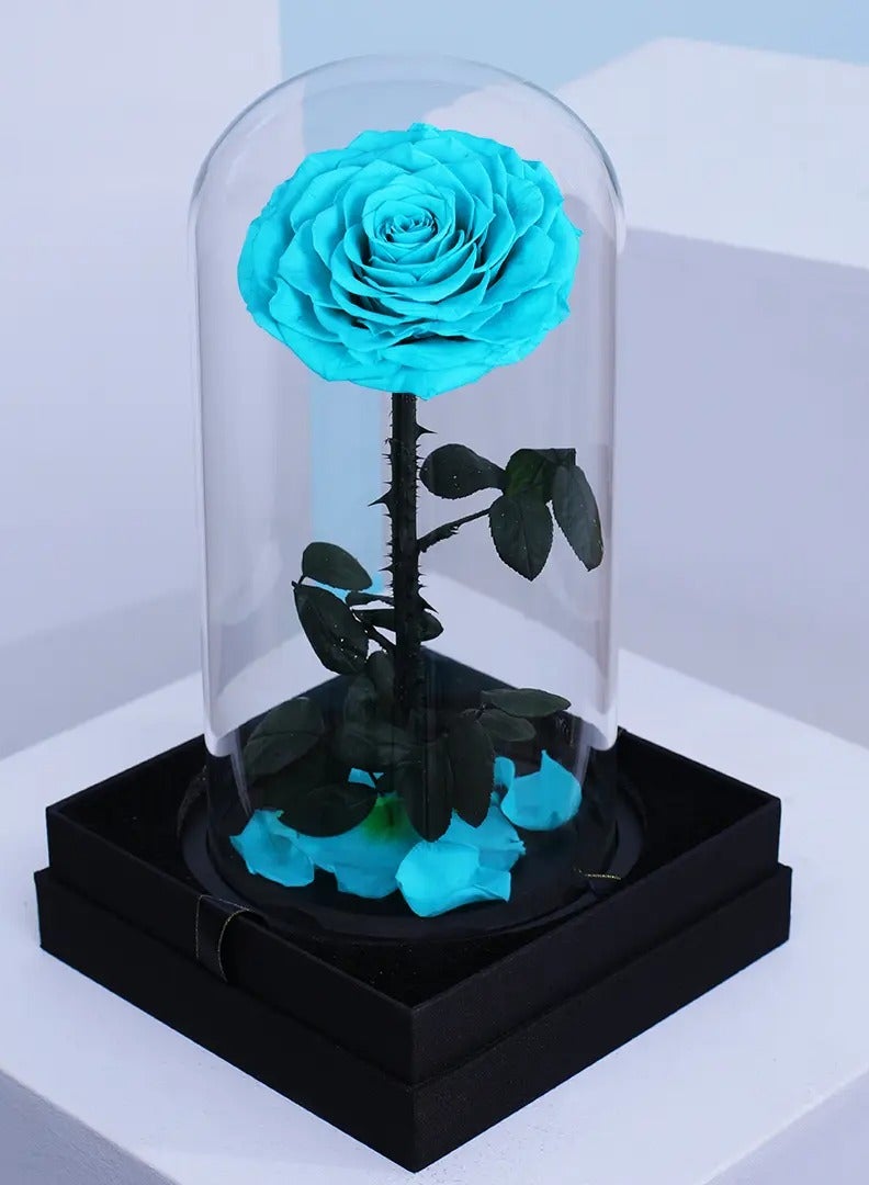 BYYU Forever تيفاني روز