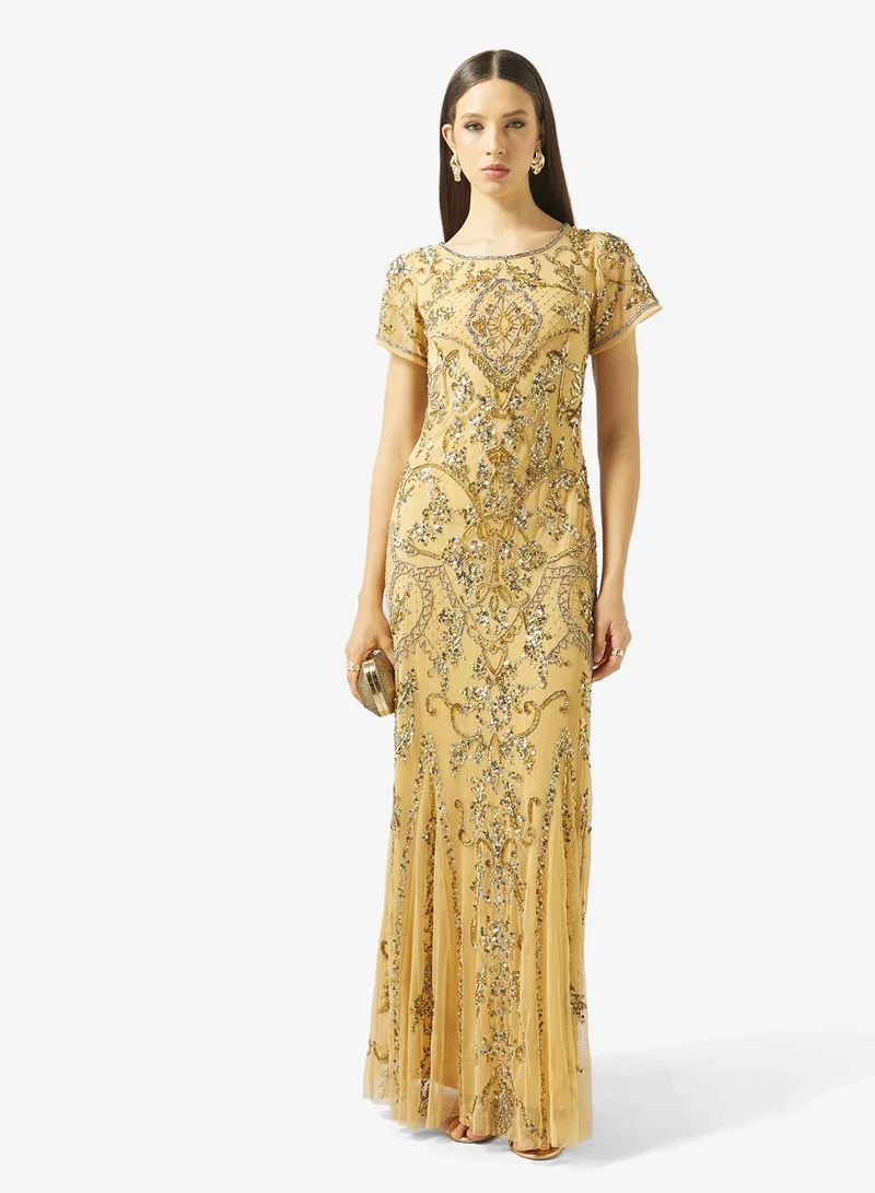 Amelia Rose  Embellished Crew neck sequin maxi dress for Women | Best Price UAE