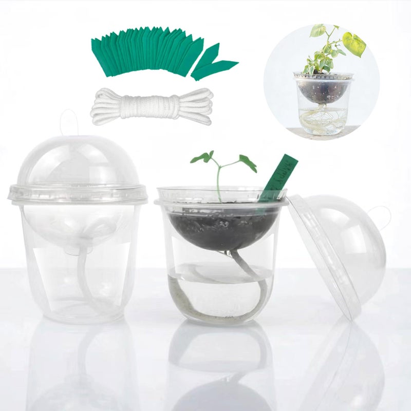 ORIMERC 30 Set Nursery Pots with Humidity Dome, Clear Nursery Pots with Drainage, Self Watering Small Plant Pots, Seedling Pots for Plants, Seed Starter Pots for Planting Vegetables Fruit Flower - Image 1
