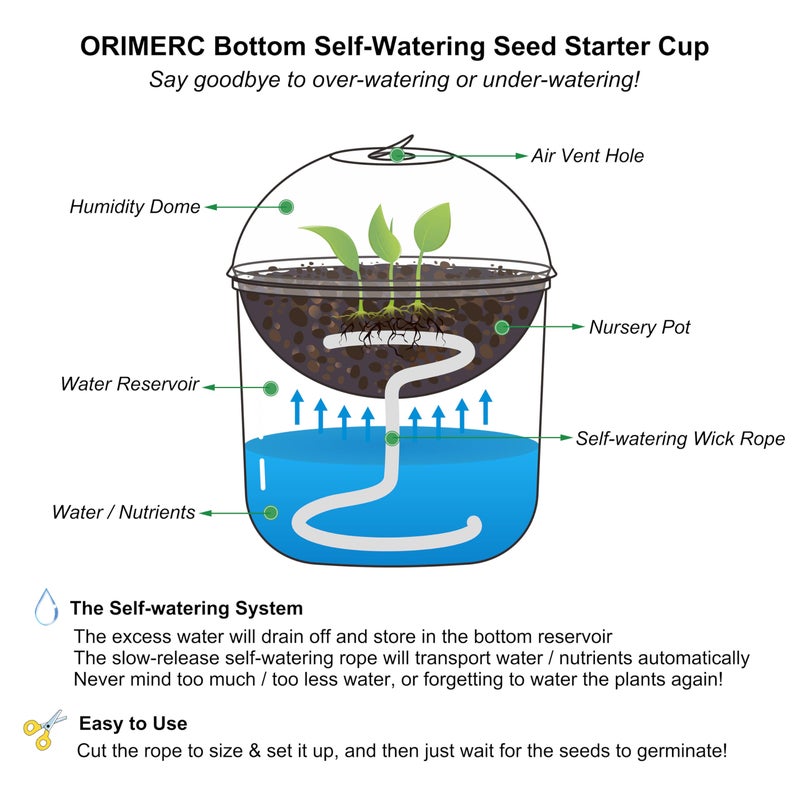 ORIMERC 30 Set Nursery Pots with Humidity Dome, Clear Nursery Pots with Drainage, Self Watering Small Plant Pots, Seedling Pots for Plants, Seed Starter Pots for Planting Vegetables Fruit Flower - Image 4