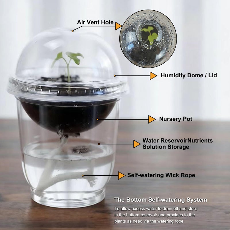 ORIMERC 30 Set Nursery Pots with Humidity Dome, Clear Nursery Pots with Drainage, Self Watering Small Plant Pots, Seedling Pots for Plants, Seed Starter Pots for Planting Vegetables Fruit Flower - Image 2