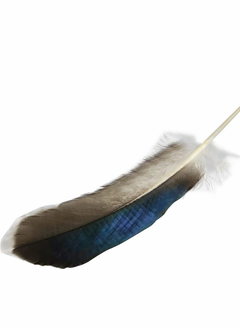 150 PCS Duck Feathers, Natural for DIY Craft Art, Decor Carnival Handwork Clothing Costumes Hair Hats Crafts Home Wedding Party Decoration - Image 2