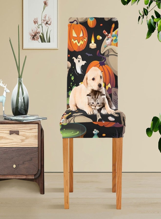 Kigai 4 Pack Dining Chair Covers Cute Pumpkins Mummy Halloween Stretchable Table Seat Cover Chairs Slipcovers Protector for Hotel Restaurant Home Decor - Image 5