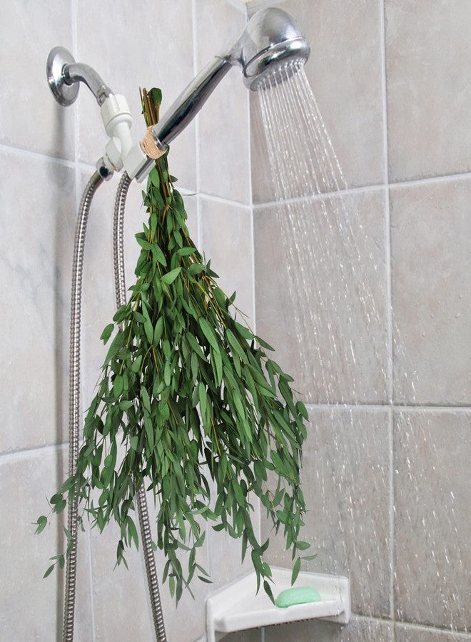 HIAGROW Real Eucalyptus Stems Greenery Decor 20PCS 17" Dried Willow Eucalyptus Plant Preserved Greenery Stems for Home Vase Filler Wedding Flowers Arrangement Spring Mother's Day Decorations - Image 3