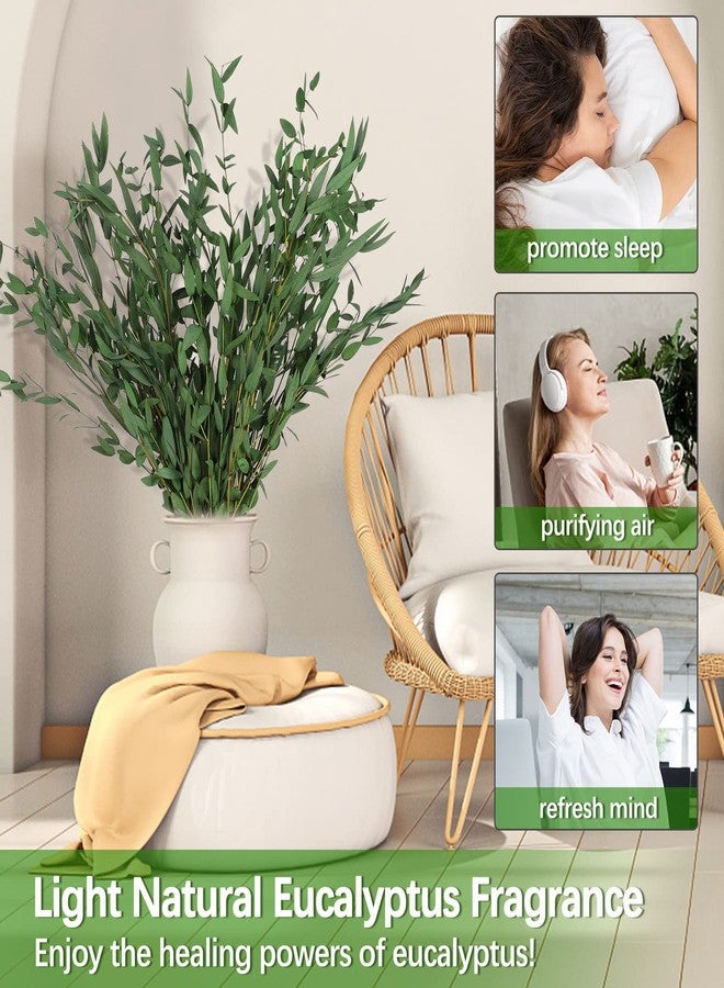 HIAGROW Real Eucalyptus Stems Greenery Decor 20PCS 17" Dried Willow Eucalyptus Plant Preserved Greenery Stems for Home Vase Filler Wedding Flowers Arrangement Spring Mother's Day Decorations - Image 2