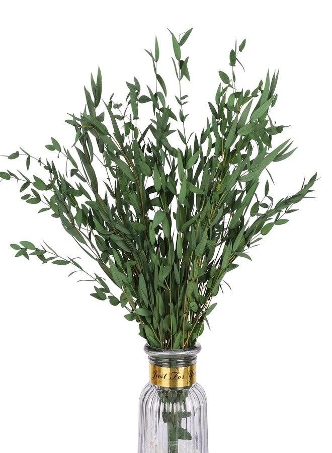 HIAGROW Real Eucalyptus Stems Greenery Decor 20PCS 17" Dried Willow Eucalyptus Plant Preserved Greenery Stems for Home Vase Filler Wedding Flowers Arrangement Spring Mother's Day Decorations - Image 1