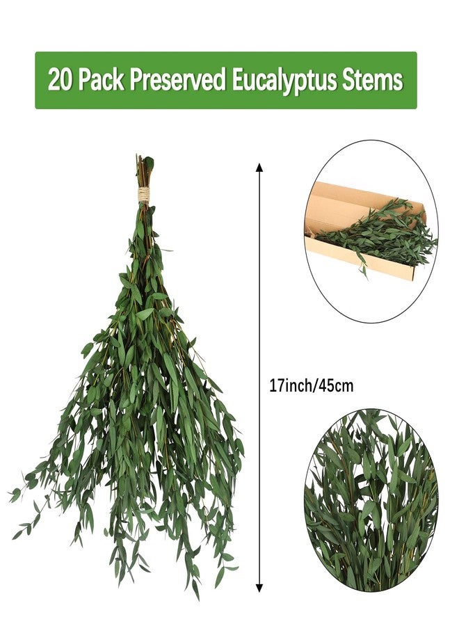 HIAGROW Real Eucalyptus Stems Greenery Decor 20PCS 17" Dried Willow Eucalyptus Plant Preserved Greenery Stems for Home Vase Filler Wedding Flowers Arrangement Spring Mother's Day Decorations - Image 5