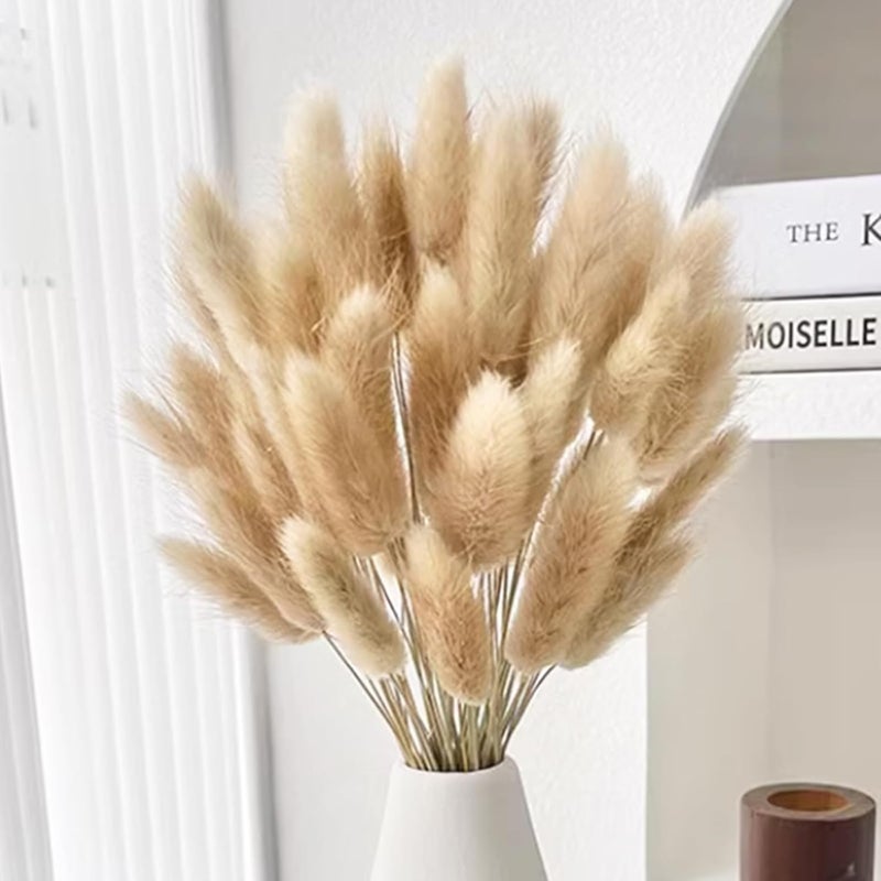Eeaivnm 60PCS Rabbit Tail Grass Dried Flowers Dried Natural Floral Arrangement Bunch Decoration Dried Grass,Eternal Flower Dried Grass for Home,Wedding,Party,Flower Bouquet,Photo Props Decor (Natural Color) - Image 3